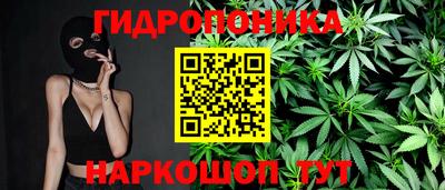 a pvp Обь