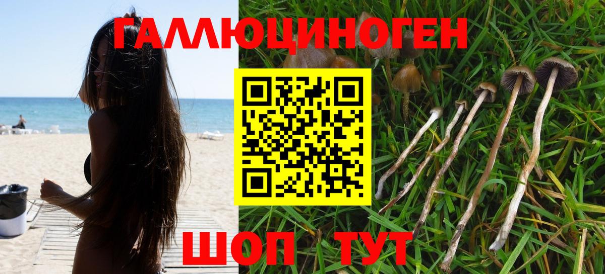 Псилоцибиновые грибы Psilocybe  Вход с VPN  Родники  Галлюциногенные грибы MAGIC MUSHROOMS 